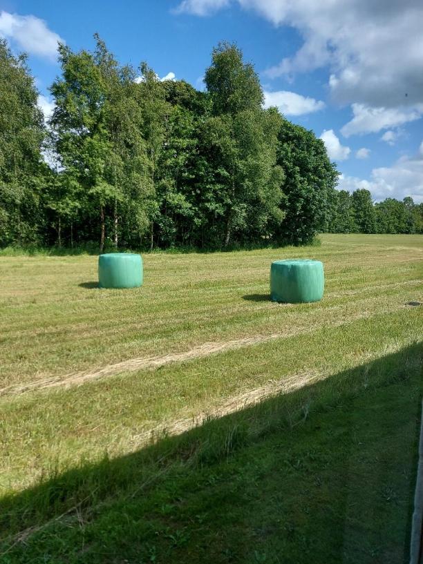 Lovely Room, Easy Access To E45 Highway *